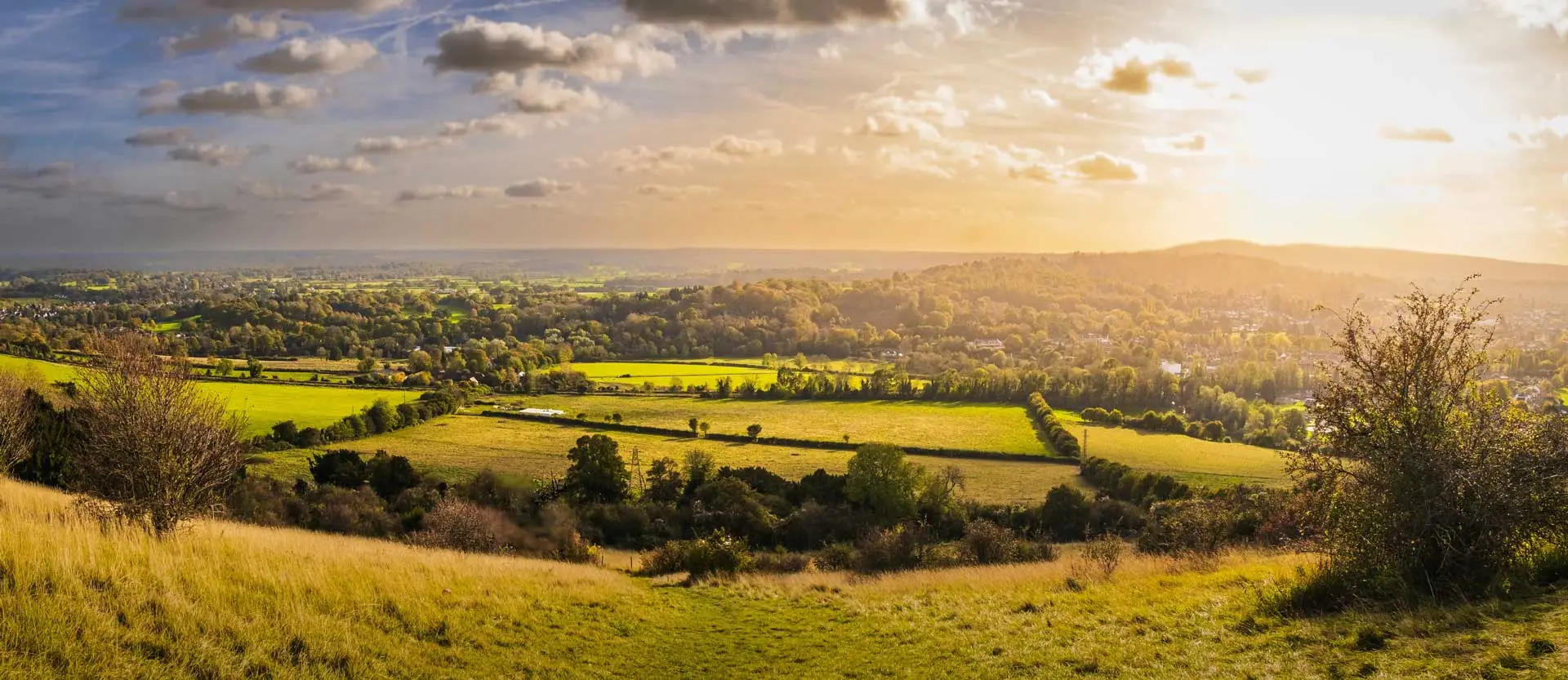 Sunlit view across the Surrey Hills countryside