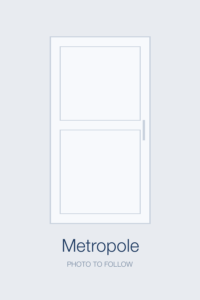 Metropole door style