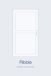 Ribble door style
